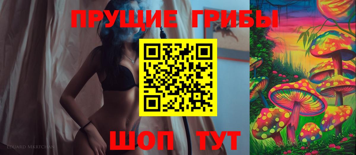 Псилоцибиновые грибы MAGIC MUSHROOMS  Вход с VPN  купить наркотик  Тула 